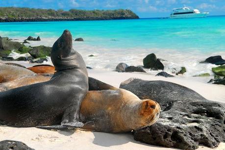 Destino naturalez a las Islas Galapagos