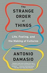 Acompañando a Antonio Damasio en su viaje neurocientífico desde las células a los sentimientos, la conciencia y la cultura humanos