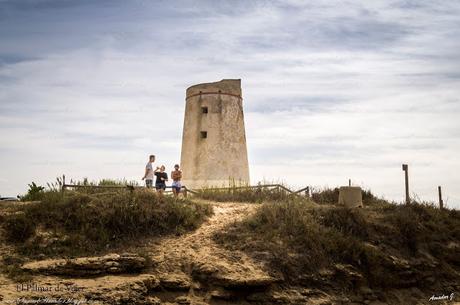 VEJER DE LA FRONTERA Y EL PALMAR (CÁDIZ)