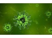 Virus Influenza podría desencadenar otra Pandemia