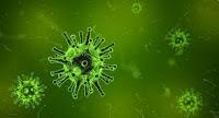 El Virus de la Influenza G4 podría desencadenar otra Pandemia El Virus de la Influenza G4 podría desencadenar otra Pandemia