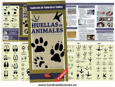 Novena Edición de HUELLAS DE ANIMALES