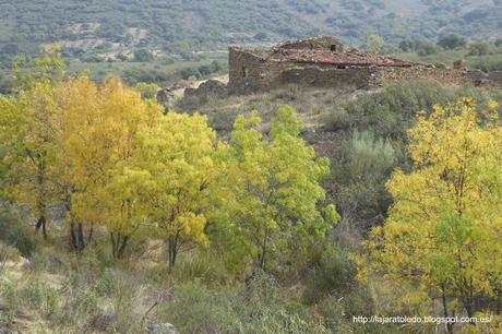 Molinos Hidráulicos de La Comarca de La Jara