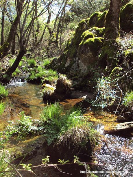 Molinos Hidráulicos de La Comarca de La Jara