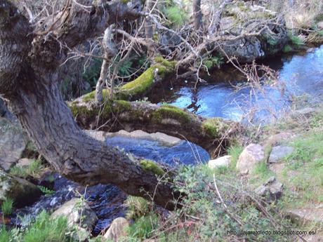 Molinos Hidráulicos de La Comarca de La Jara