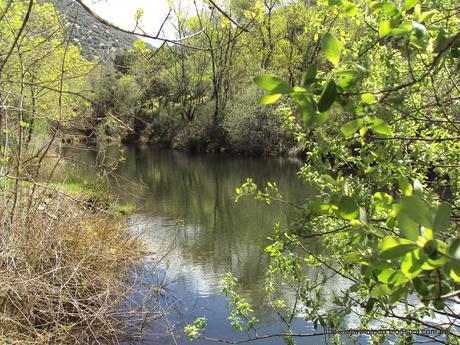 Molinos Hidráulicos de La Comarca de La Jara