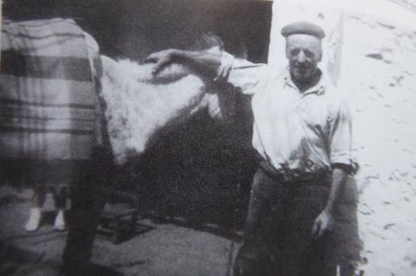 Molinos Hidráulicos de La Comarca de La Jara