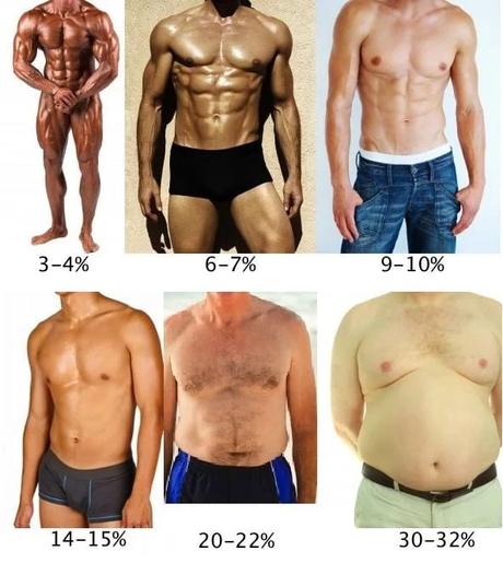 grasa abdominal en hombres