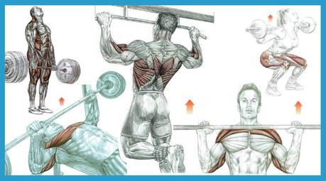 ECTOMORFO – El somatotipo del tipo delgado – DIETAS Y RUTINAS Ejercicios compuestos. De izquierda a derecha: peso muerto, press de banca, dominadas, press militar, sentadillas.