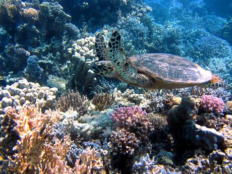 Los mejores lugares para ecoturismo en México Los mejores lugares para ecoturismo en México