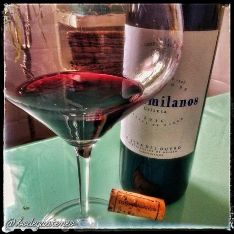 Torremilanos Crianza 2016