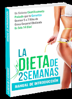 Este jugo de dos ingredientes te ayudará a quemar grasa abdominal rápidamente https://tinyurl.com/dieta2semanaslibropdf