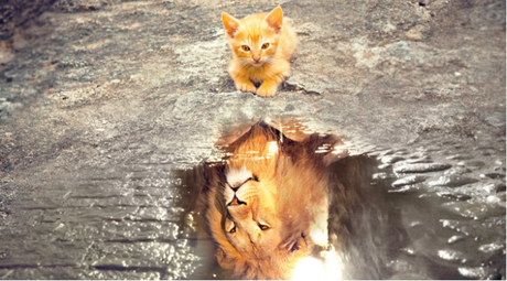 El efecto Pigmalion. El poder de las expectativas