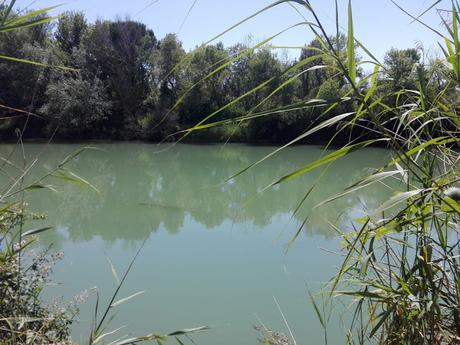 BLOGSSIPGIRL TE INVITA: UN VIAJE ENTRE PAISAJES, MODA Y REFLEXIONES. BLOGSSIPGIRL TE INVITA: UN VIAJE ENTRE PAISAJES, MODA Y REFLEXIONES.