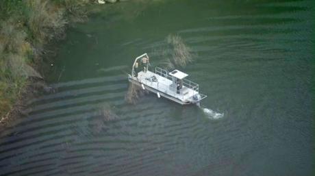 Búsqueda de Naya Rivera