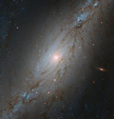 La enorme velocidad de la galaxia NGC 7513, candidata a la formula 1 galáctica