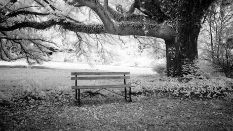 Los parques madrileños se renuevan y crecen