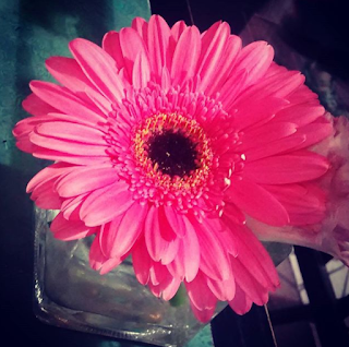 + Cada día es uno menos [OFF]