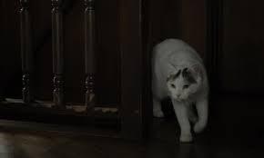 EL CIELO COMO EL MAR