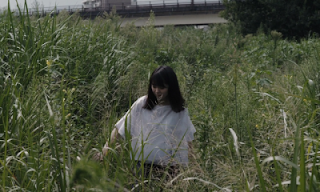 EL CIELO COMO EL MAR