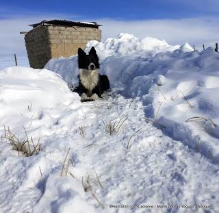 La nieve complica a los pobladores de Mallín de las Yeguas.