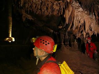 Estudios bioespeleológicos en la PB-4