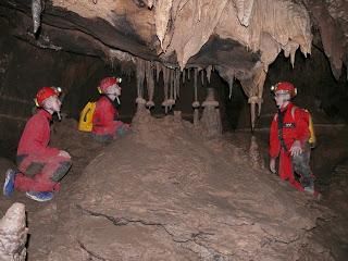 Estudios bioespeleológicos en la PB-4