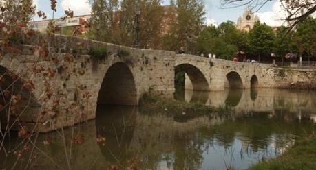 Puente Puentecillas en Palencia - Turismo en Palencia