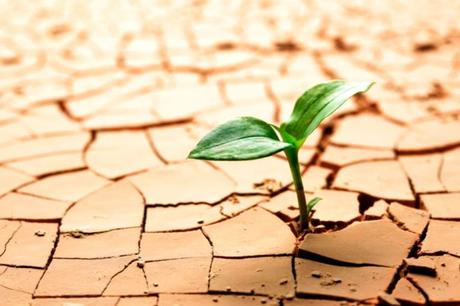 Red de redes: Internet y relaciones sociales en la post pandemia