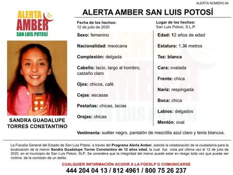 Alerta Amber: Desaparece niña de 12 años en la capital potosina