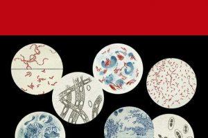 Nieves Mories: Agujeros de sol