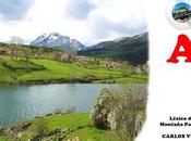 Léxico montaña palentina, arveja-asperura