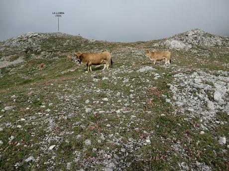 Alto´l Palo-La Cantarilla-Retuerto-Mecín-Axeite