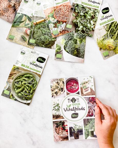 Cómo sembrar y trasplantar en épocas de calor.