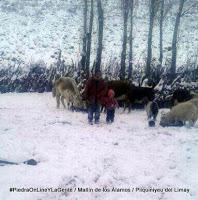 Mallín de los Álamos tapado por la nieve Mallín de los Álamos tapado por la nieve