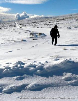 Mallín de los Álamos tapado por la nieve