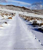Mallín de los Álamos tapado por la nieve Mallín de los Álamos tapado por la nieve