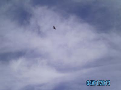 Un dique en la Patagonia