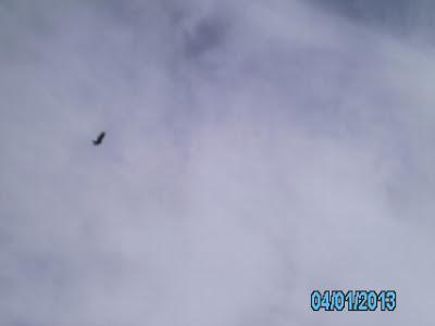 Un dique en la Patagonia