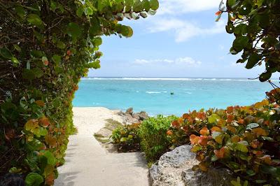 Barbados te da una visa por 12 meses para que trabajes desde la playa