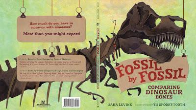 Fossil by Fossil: Comparing Dinosaur Bones (Sara Levine & T.S Spookytooth)