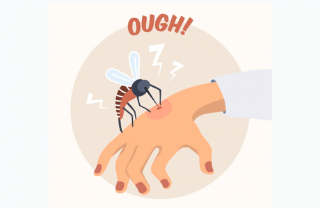 Los mejores consejos antimosquitos (que no sabías hasta ahora).
