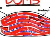 Cómo quitan agujetas