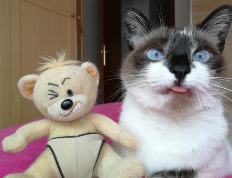 LA GATA DE LOS OJOS BELLOS