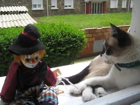 LA GATA DE LOS OJOS BELLOS