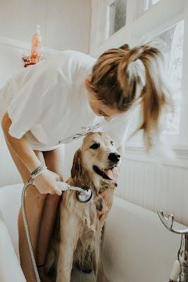 Mujer bañando a su perro