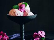 Helado ciruelas rojas