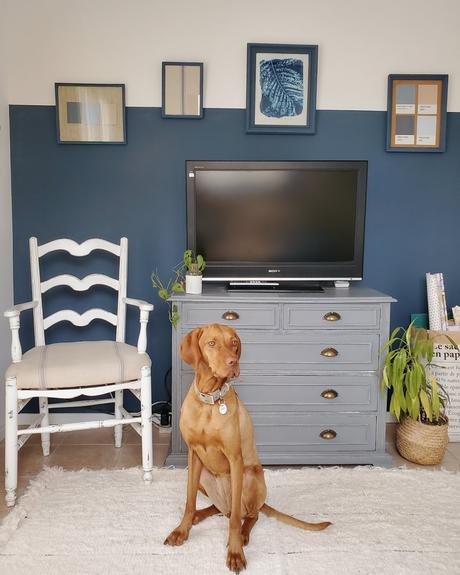 Proyecto azul: renovar un cuarto con color - halfpainted wall