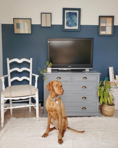 Proyecto azul: renovar un cuarto con color - halfpainted wall