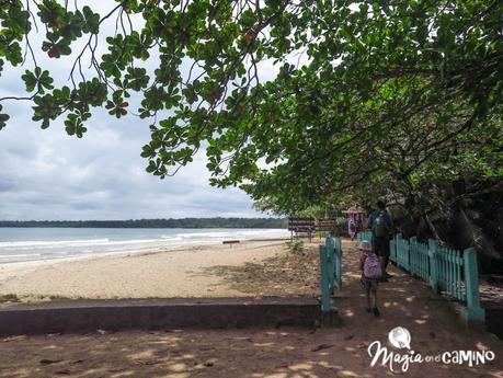 Algunas de las mejores playas para visitar en el Caribe